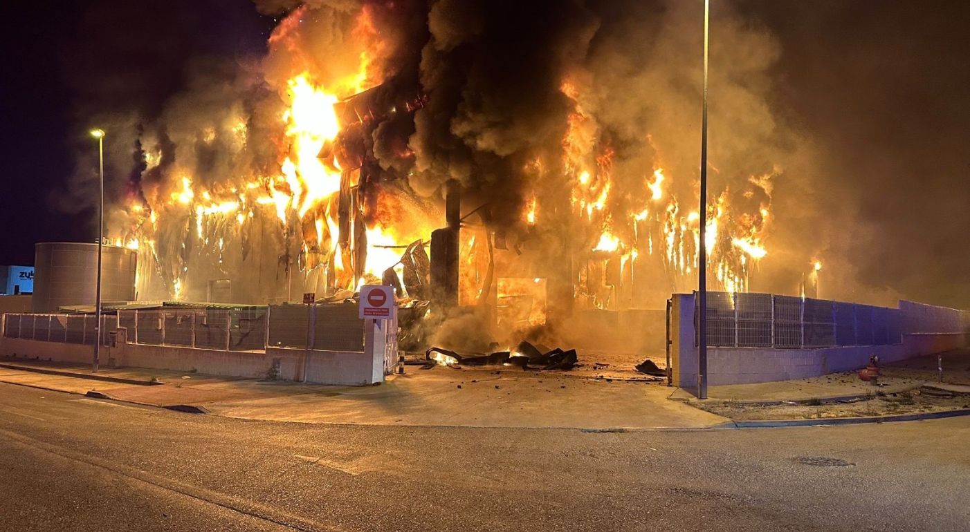 Disa Fire